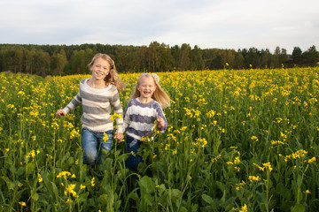 happy kids  sisters running around laughing  in the meadow