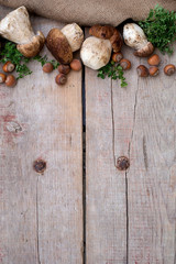 Mushrooms ceps, nuts and herbs. Copyspace above