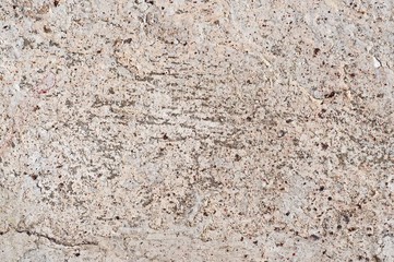 Grunge Wall Background