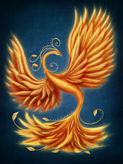Magic firebird