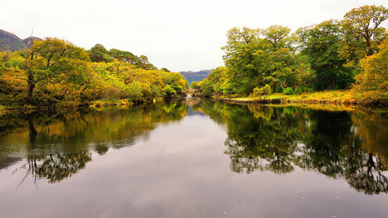 Irlandia, krajobraz wiejski © janmiko