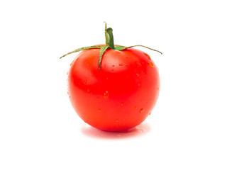 fresh wet tomato fruits
