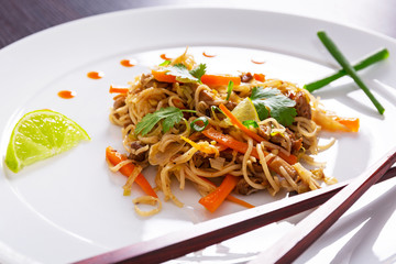 Chinese dish - chow mein noodles with duck and vegetables