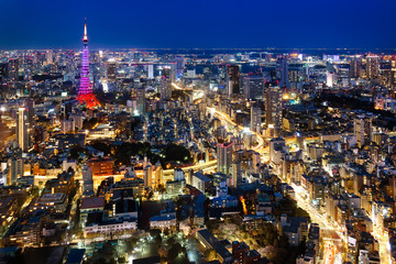 Fototapeta na wymiar Tokyo city view visible on the horizon