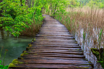 Boardwalk in the park