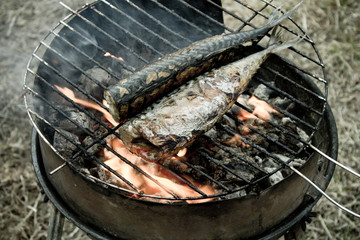 рыба на огне