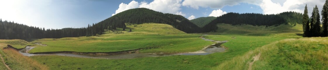 Fototapeta na wymiar Poiana Ponor - valley in Bihor mountains in Apuseni in Romania