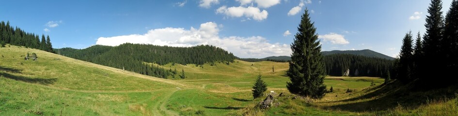 Fototapeta na wymiar Poiana Ponor - valley in Bihor mountains in Apuseni in Romania