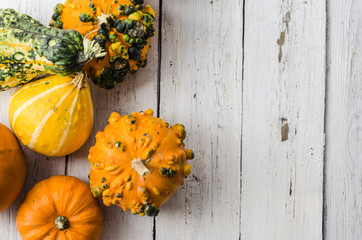 Kürbis, Halloween, Flaschenkürbis