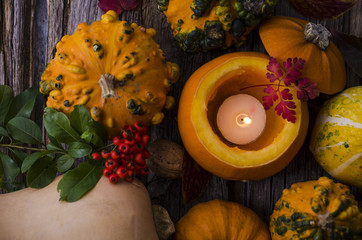 Kürbis, Halloween, Flaschenkürbis