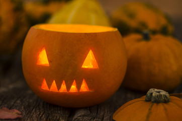 Kürbis, Halloween, Flaschenkürbis