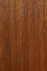 Obraz premium Close up of wood, studio.
