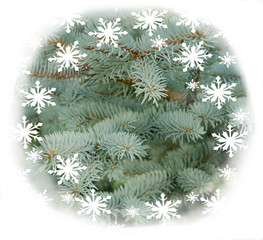 Christmas decoration with snow flakes