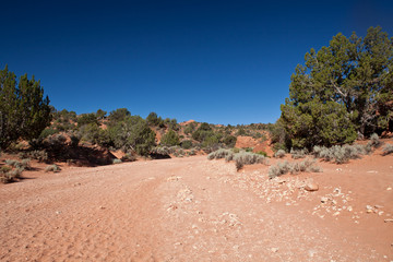 USA - coyote buttes - the wave formation