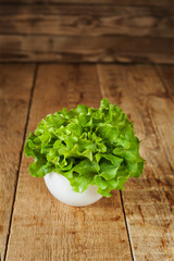 Fresh green kale in ceramic bowl. Selective focus.