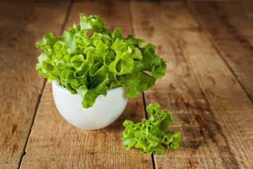 Fresh green kale in ceramic bowl. Selective focus.