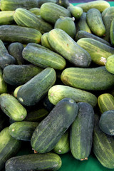 fresh organic cucmbers