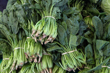 Fototapeta premium fresh organic spinach