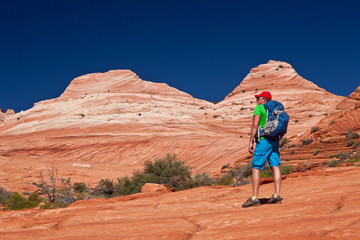 USA - man in coyote buttes recreational park - The wave