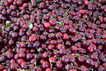 fresh organic ripe cherries