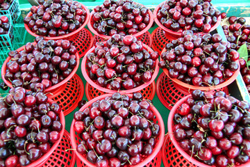 fresh organic ripe cherries