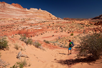 USA - man in coyote buttes recreational park - The wave