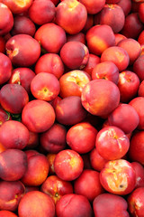 fresh organic ripe nectarines