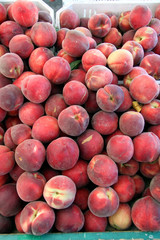 fresh organic ripe peaches