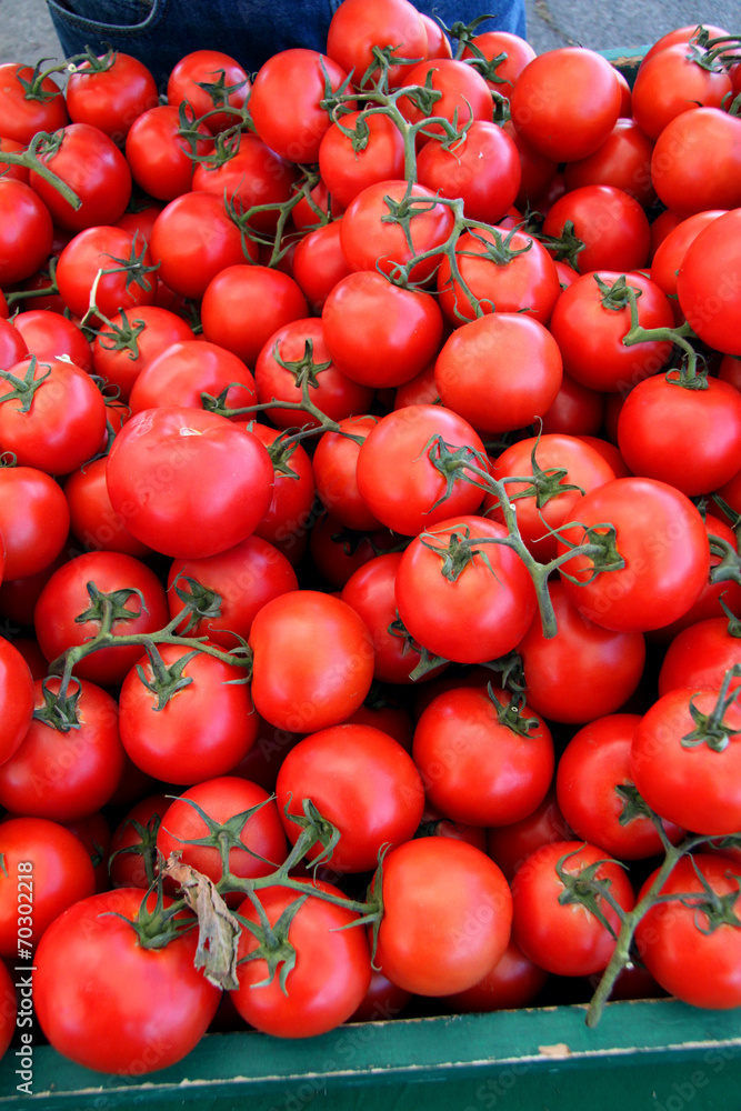 Wall mural red ripe fresh organic tomatoes