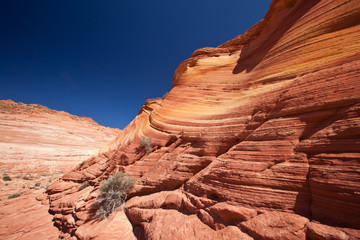 USA - coyote buttes - the wave formation