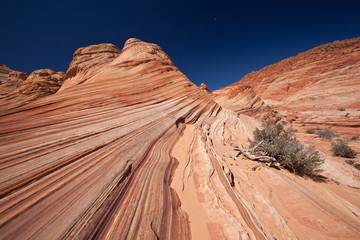 USA - coyote buttes - the wave formation