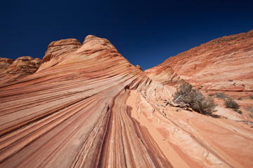 USA - coyote buttes - the wave formation