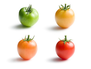 variously ripe tomatoes
