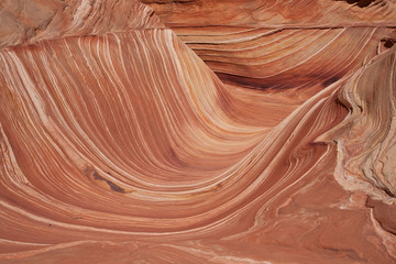 USA - coyote buttes - the wave formation