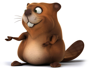 Fun beaver © Julien Tromeur