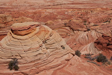 USA - coyote buttes - the wave formation