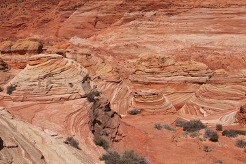 USA - coyote buttes - the wave formation