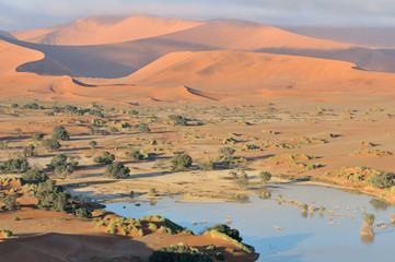 Deadvlei and  Sossusvlei