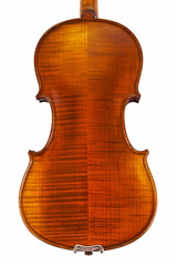 Fine violin back isolated on white