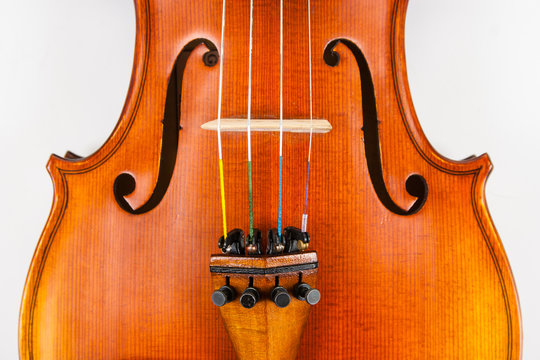 Close up of violin body, fine tuners and bridge on white