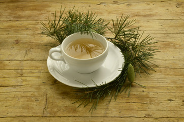 Pinus Fyrreslægten Pino Pine Kiefern Pin Sosna Сосна אורן