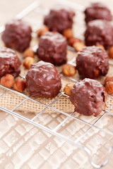 hazelnut pralines