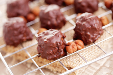 hazelnut pralines