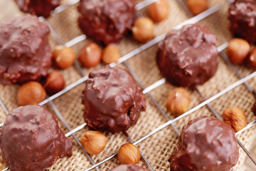 hazelnut pralines