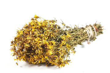hypericum perforatum