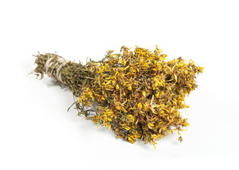 hypericum perforatum