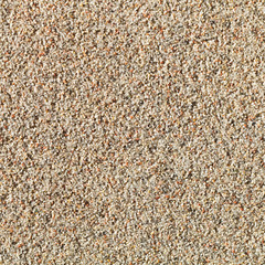 background from sand plaster