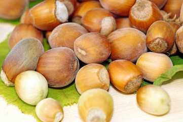 Hazelnuts close-up
