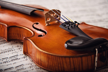 Detail einer alten kostbaren Geige - 70313464