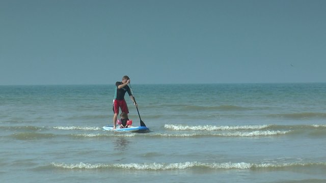 surf en famille